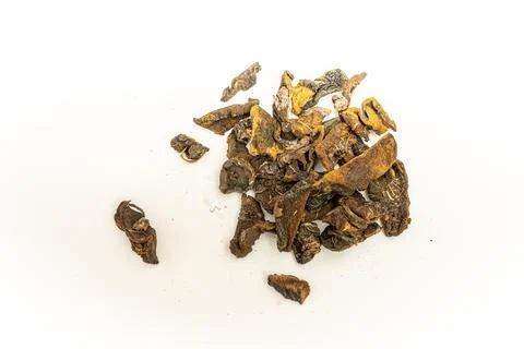 Top view of some dried pine or shelf mushrooms on a white background. Stock Photos