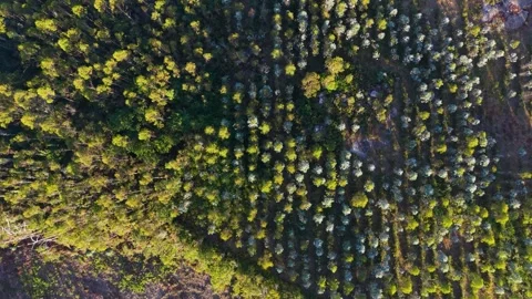 A Top View From The Sopenas Viewpoint Shows Hilly Terrain Covered Stock Footage 344946220