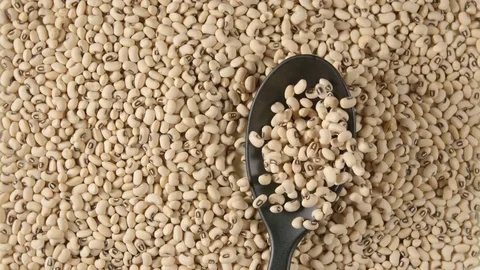 TOP VIEW: Spoon with a white beans falls on a beans (slow motion) Vídeo Stock 74496530
