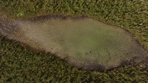 A top view of spotted stagnant lake in the middle of forest in the Khibiny Stock Footage 164251053