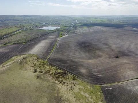 Top view of spring fields divided into sectors Foto stock