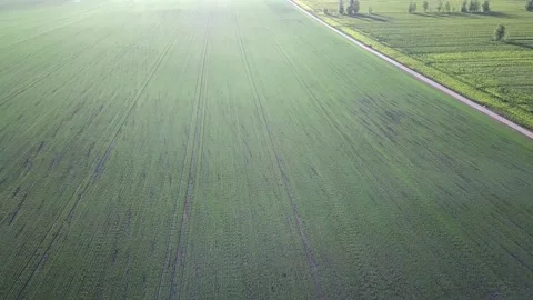 Top view of spring fields Stock Footage 168610429