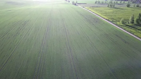 Top view of spring fields Stock Footage 168611176