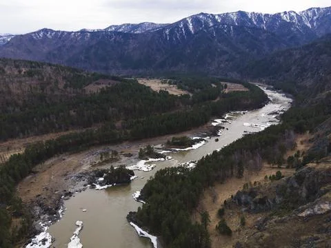 Top view spring forest and the river. beautiful landscape. natural background Stock Photos