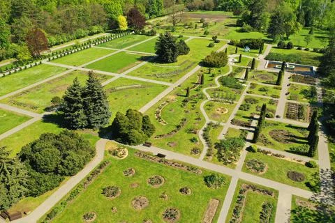 Top view of the spring Minsk Botanical Garden. Belarus 库存照片