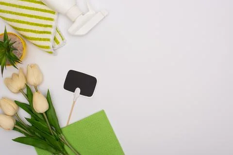 Top view spring plants green Stock Photos