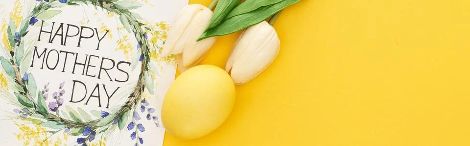 Top view spring tulips easter Stock Photos