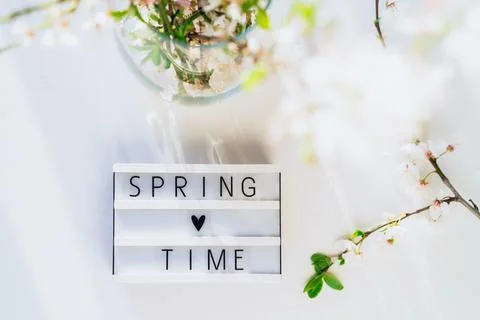 Top view Springtime lettering on the lightbox and fresh blooming branches n the Stock Photos