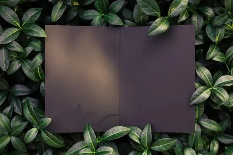 Top view of square frame, creative layout of tropical plants and periwinkle Stock Photos