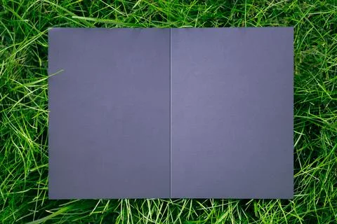Top view of square frame, creative layout of green grass lawn with black open Stock Photos