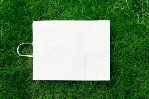 Top view of square frame, creative layout of lawn green grass with craft eco Stock Photos