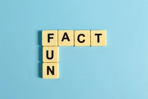 Top view of square letters with text FUN and FACT. Foto stock