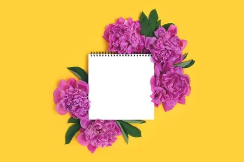 Top view of square notepad mockup and buds of peony flowers. Stock Photos