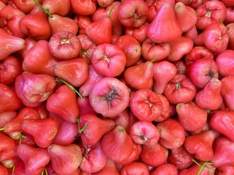 Top view of a stack of fresh red rose apples 스톡 사진