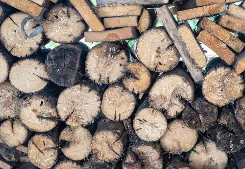 Top view of a stack of wood logs in an abstract background Foto stock