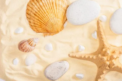 Top view starfish pebbles seashells Stock Photos