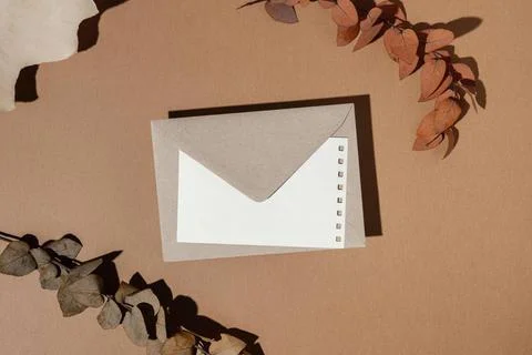 Top view stationery envelope with dried leaves top view stationery envelop... Stock Photos