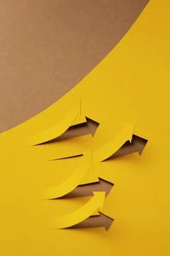 Top view statistics presentation Set Stock Photos