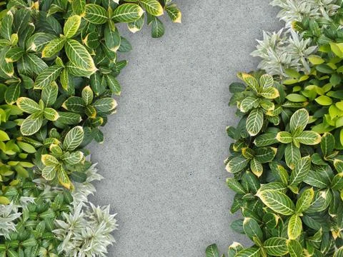 Top view of stone path in garden Foto stock