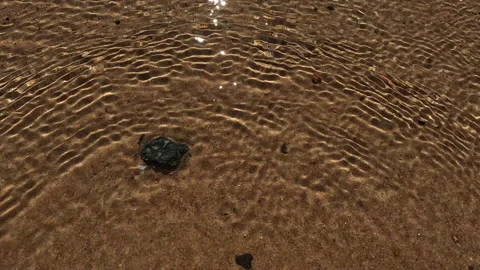 Top view of a stone on the sand covered by sea waves. 4K Video stock 229893877