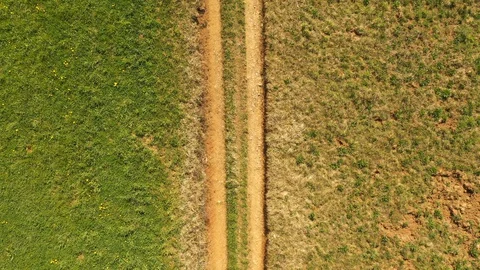 Top view of a straigth countryside path Видео 128656668