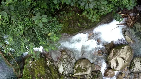 Top view of a stream in the Andes with clear water and rock formations Stock Footage 151278396