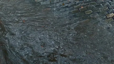 Top view of a stream of rain water running along a cobblestone street, Follow Vidéo 291474678