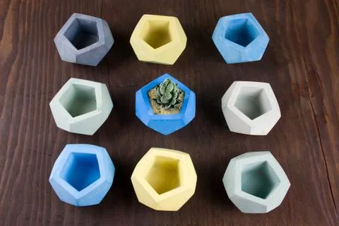 Top view succulent and empty concrete pots for plants on a wooden background, Stock Photos