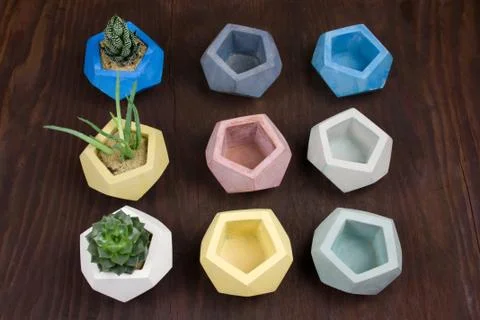 Top view succulent and empty concrete pots for plants on a wooden background, Stock Photos