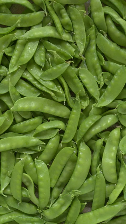 Top view of sugar snap peas. Background texture. Vertical video. Stock Footage 312329726