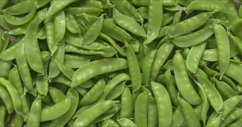 Top view of sugar snap peas. Background texture. Stock Footage 312329924