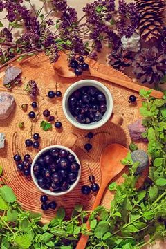 Top view of a summer forest composition of black currants and various natural Stock Photos