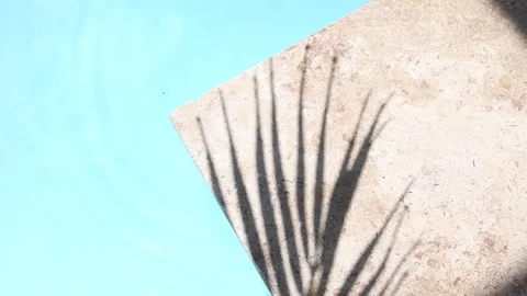 Top view of swimming pool with palm shadow Stock Footage 279312719