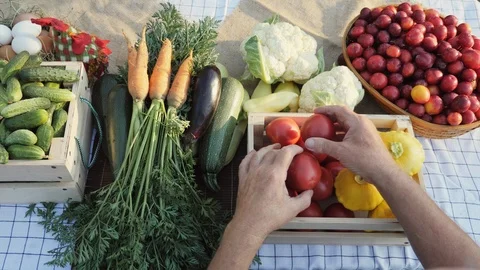 Top view of a table with fresh vegetables Stock Footage 92060028