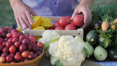 Top view of a table with fresh vegetables Stock Footage 92090986