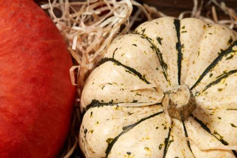 Top view of table with two pumpkins Stock Photos