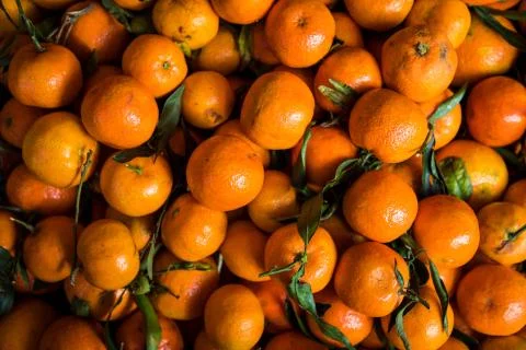 Top view of tangerines Stock Photos