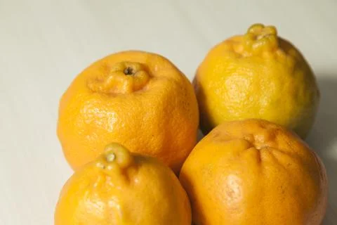 Top view of tangerines on the table with copy space. Orange, sweet and tropic Stock-Fotos