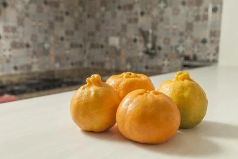 Top view of tangerines on the table with copy space. Orange, sweet and tropic Fotos de archivo