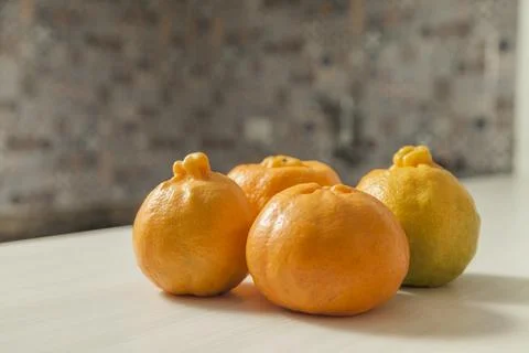 Top view of tangerines on the table with copy space. Orange, sweet and tropic 스톡 사진