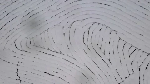 Top view on tea plantations in snow covered around. Aerial view. Top down Vidéo 149683105