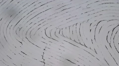 Top view on tea plantations in snow covered around. Aerial view. Top down Vidéo 149683175