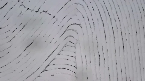 Top view on tea plantations in snow covered around. Aerial view. Top down Vidéo 149683331