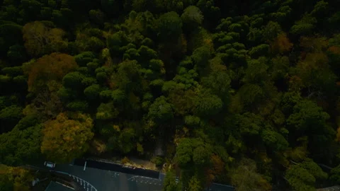 Top view of temple Japan slow pan to sunset, mountains Stock Footage 308180601