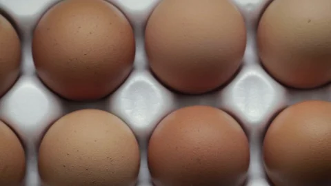 Top view of ten orange-shell eggs laid in a white tray 库存影片 103193158