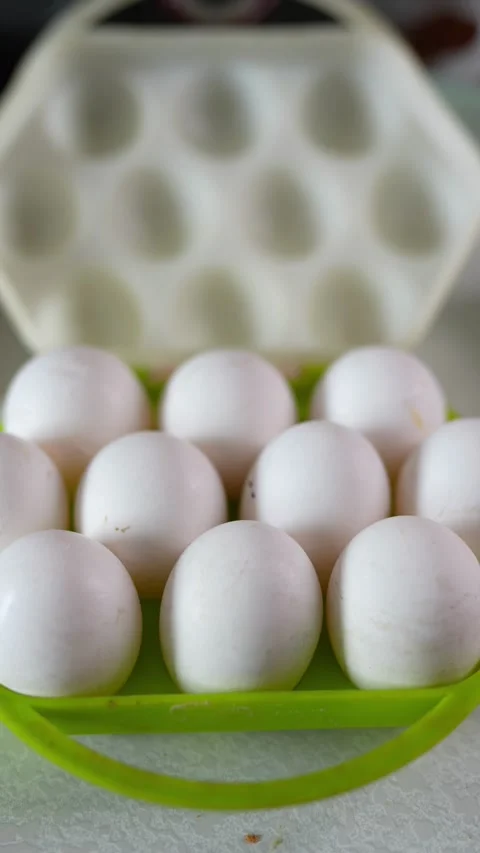 Top view of ten white eggs in a green plastic container Stock Footage 332341078