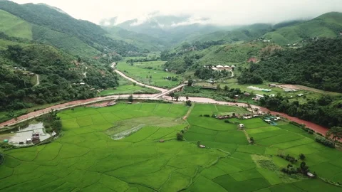 Top view Terraced rice field Northern Thailand Stock Footage 138075554