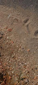 Top View Texture of Sand and Small Pebbles on Asphalt Edge Stock Photos