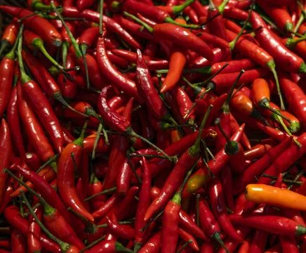 Top view texture of scattered red hot chili peppers, background. Stock Photos