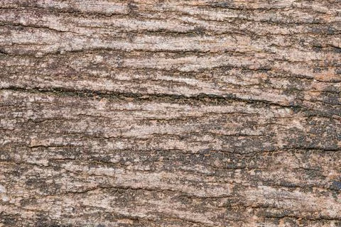 Top view texture surface of old dirty wooden plank floor. Stock Photos